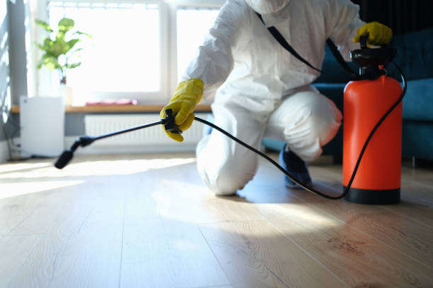 Reliable Odor Removal contractor in Biddeford, ME by Trauma Clean Pros